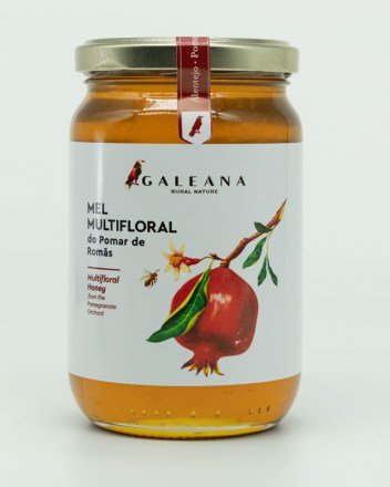 produto-mel-multifloral-do-pomar-de-romas-500gr2